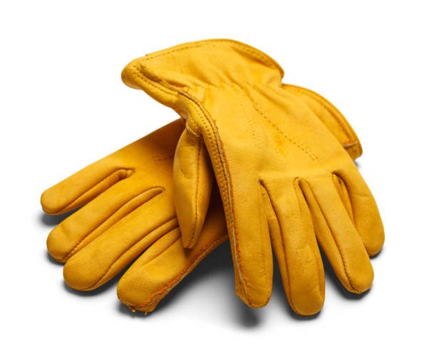 Leather Gloves