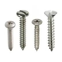 Self Tapping Screw